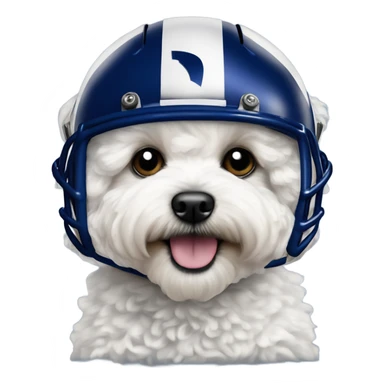 White fluffy maltipoo wearing LA Rams football helmet royal blue sticker