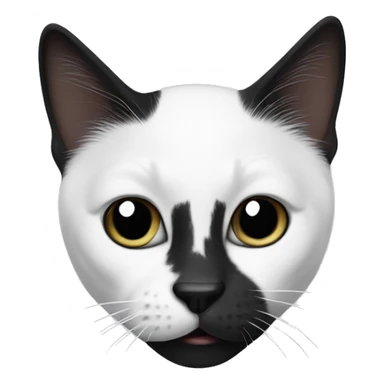 Black and white cat with black nose sticker