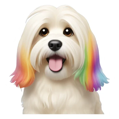 Cream colored havanese with RAINBOW TAIL only sticker