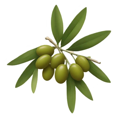 Olive branch sticker
