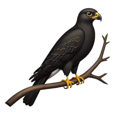 black hawk bird sticker