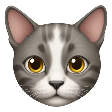 Cat without The hairs sticker