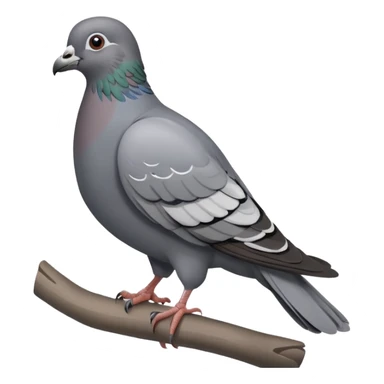 pigeon emoji sticker