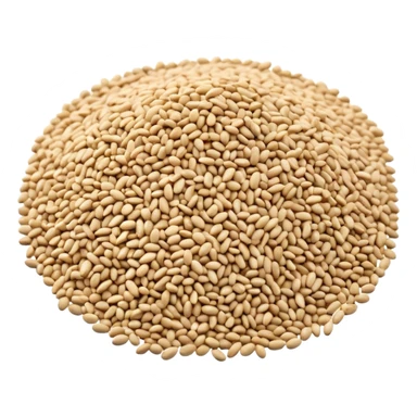 pile of sesame seeds, scattered, off-white to pale beige, tiny oval seeds, smooth and slightly curved, some size variation, dry matte look, clean style sticker