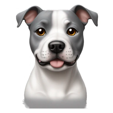 Staffie chien une oreille blanche et l’autre gris  sticker