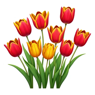 tulip flowers blooming sticker