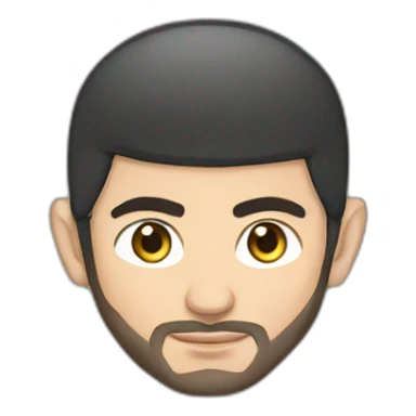 Islam Makhachev sticker