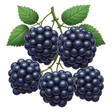 blue blackberries sticker