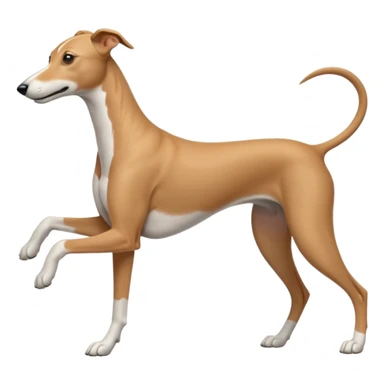 Greyhound working sticker