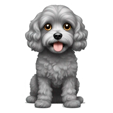 Gray Cavapoo sticker