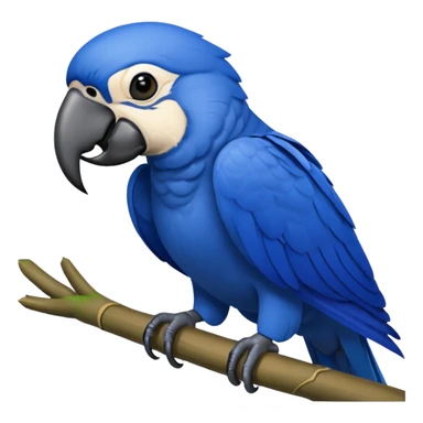 Hyacinth Macaw sticker