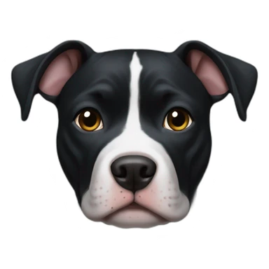 black pitbull with white chest sticker