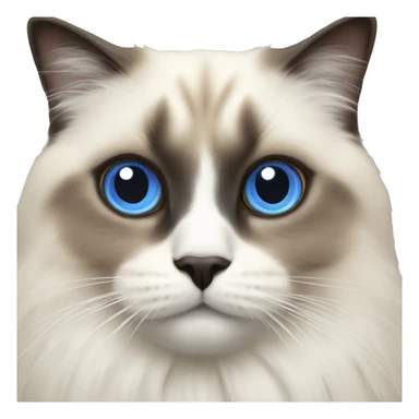 Sacred Birman cat  sticker
