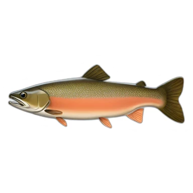 small-brown-chinook-salmon sticker