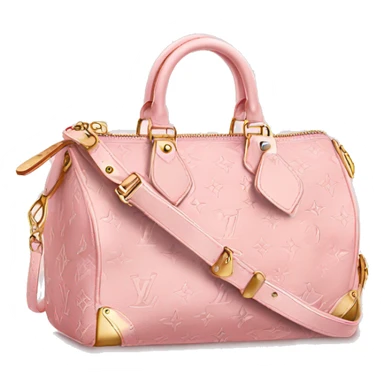 Light pink Louis Vuitton bag sticker