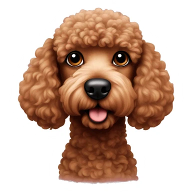 Brown poodle with black nose shaped like a heart sticker
