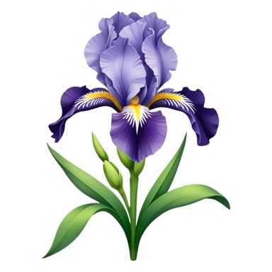 bouquet Soft Green Iris, luxuriant, leaf, bud sticker