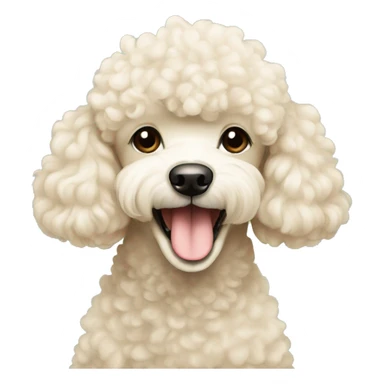 cream cute poodle good morning  sticker