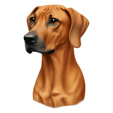 Rhodesian ridgeback  sticker