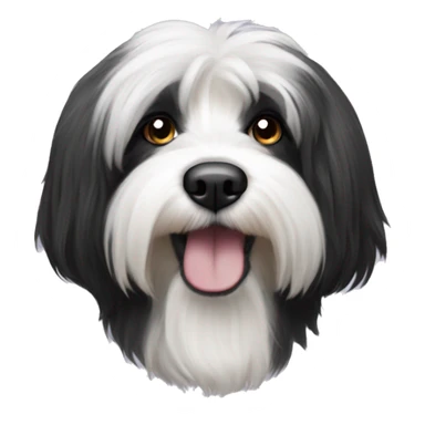A Hairy black and white tibetan terrier sticker