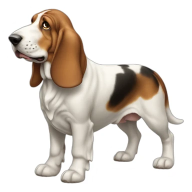Dog basset hound full-body sticker