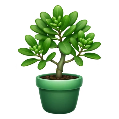 Cinematic Realistic Jade Plant Emoji, Thick and glossy, with dark green, round leaves that shine under the light. The sturdy stems and vibrant foliage give a sense of prosperity and tranquility. Soft glowing outline, capturing the essence of good luck, growth, and natural elegance in a flourishing jade plant! sticker