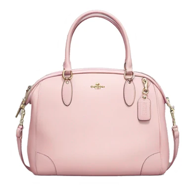 light pink coach bag sticker