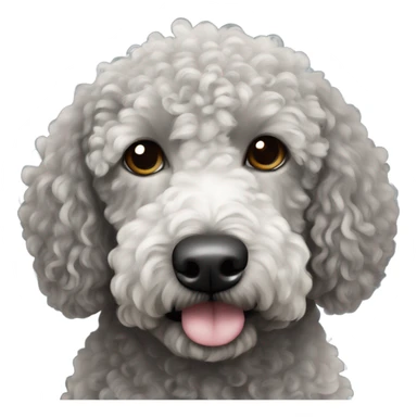 Spanish curly water dog black with black face and white little spot only on its chest sticker