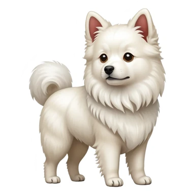  white Chinese native dog sticker