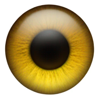 eye of r sticker
