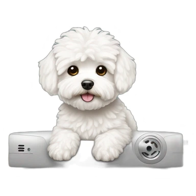 white maltipoo watching tv sticker