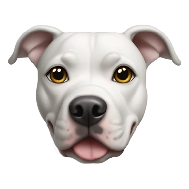 White pit bull, gray eyes, dark ears sticker