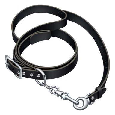 Black collar with leash sticker