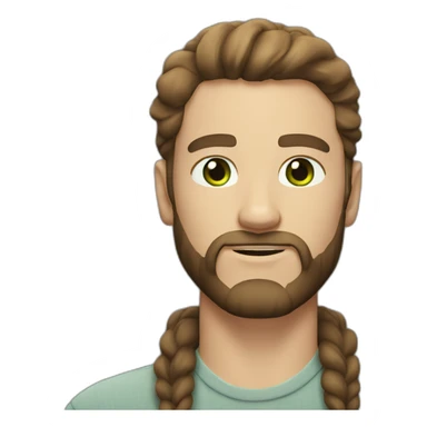 white man with brown middle parting hair and full beard and green/gray eyes sticker