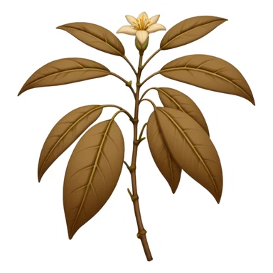 wilted indian jasmine without leaves in emoji format sticker