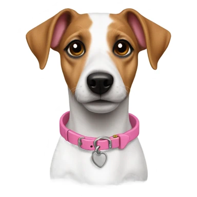 Two Jack Russels pink collar sticker