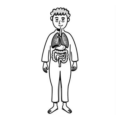 Human body diagram with main organs labeled sticker