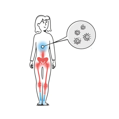 Medical illustration of anti-inflammatory process: transparent human body with highlighted joints, cool blue healing energy neutralizing red inflammation areas, small circular inset showing immune cells becoming calm, clean clinical style with soft futuristic background sticker