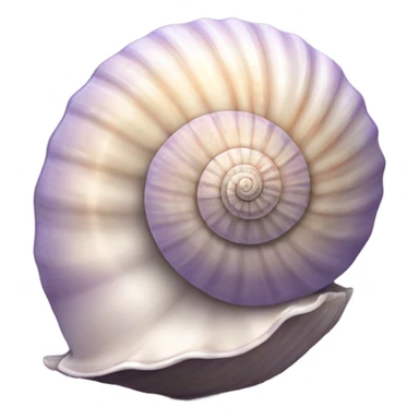 One sea shell sticker