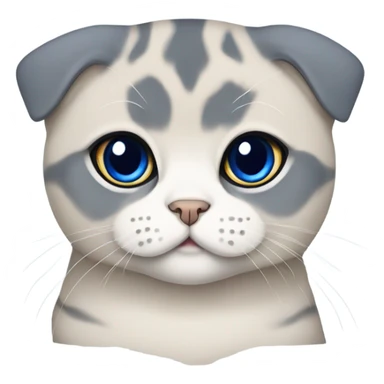 Scottish fold with Blue Point colours sticker