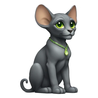 Pretty sphinx dark gray with big ears and green eyes. Sitting and licking  sticker