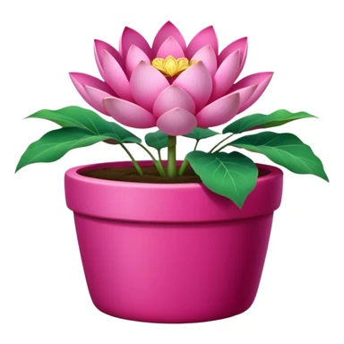 Decorative fuchsia-colored flower pot with a lotus flower plant; the pot is shallow sticker