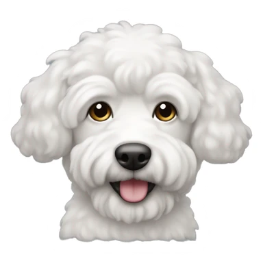 perrito caniche color blanco sticker
