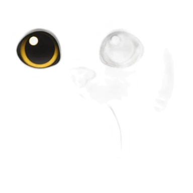 White cat with black total black nose sticker