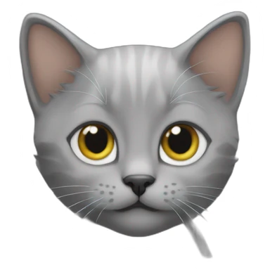 A grey kitten with a "Navid" text on top sticker