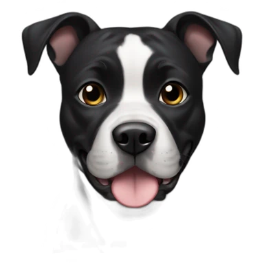 Black female dog Staffordshire with black face sticker