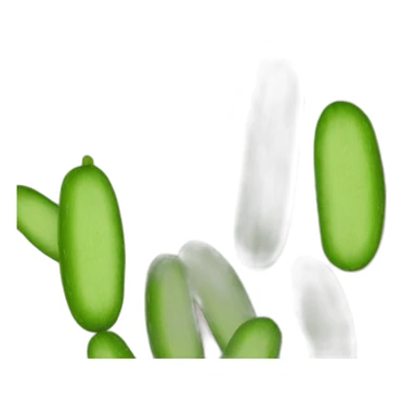 Cucumber  pink brown sticker