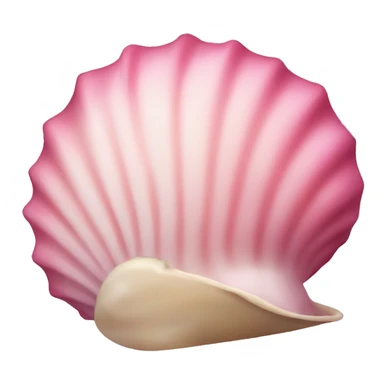 Pink shell sticker