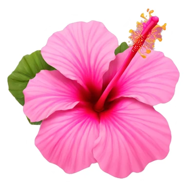 Pink hibiscus  sticker