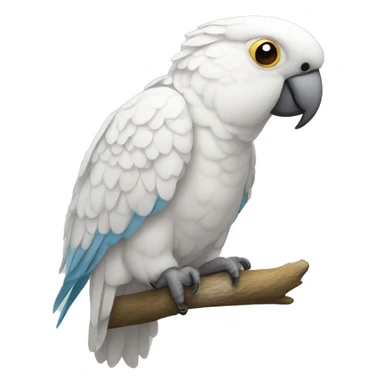 White parrot sticker